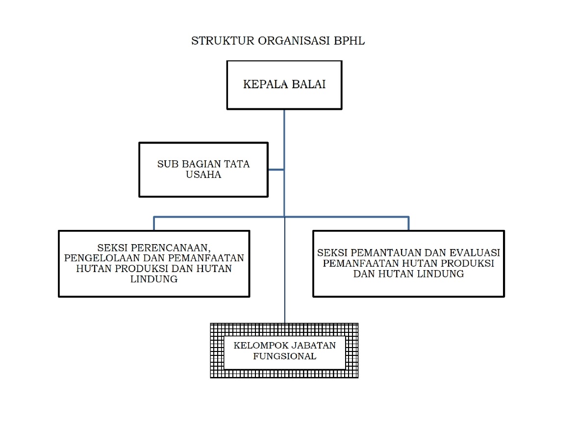 Struktur Organisasi